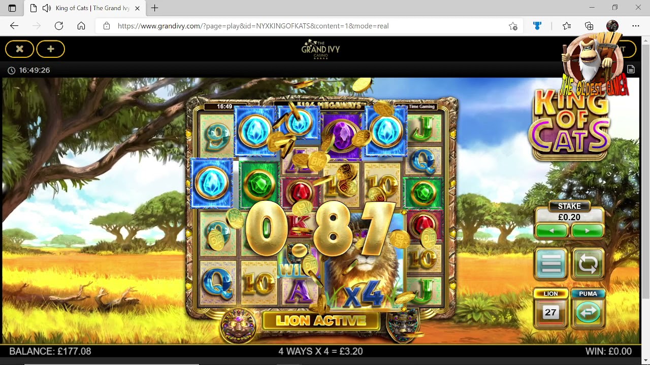 King of Cats 100 spins of Lion and Puma Which is better ?