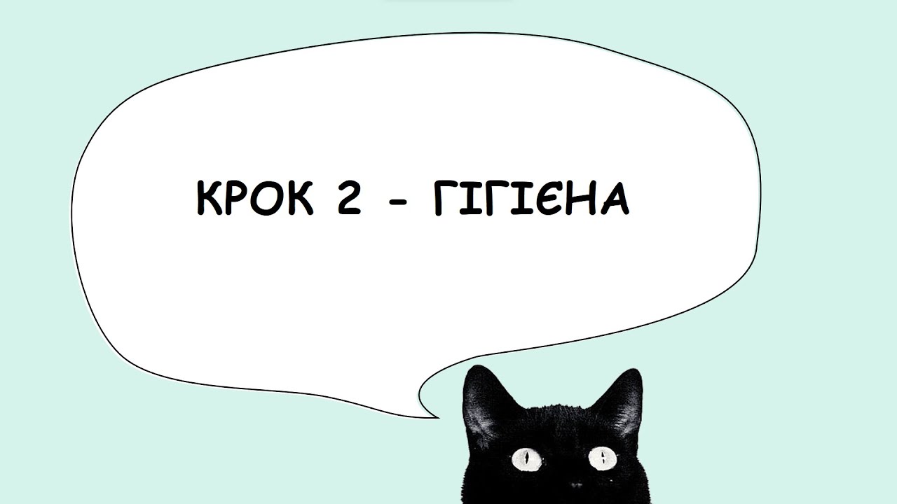 Розбір тестів КРОК 2  з гігієни