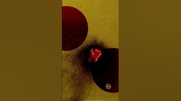 Burning a domino card macro object😱 #shorts #asmr #entertainment