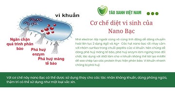 03 - Cơ chế diệt vi sinh của nano bạc