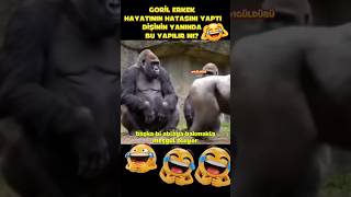Goril Çok Yanlış Yaptı Şfet