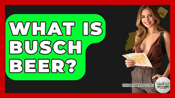 What Is Busch Beer? - The Midwest Guru