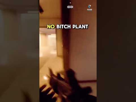 Plant B B Tch Plant The Bomb 