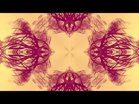 Meristem - Last rays of summer