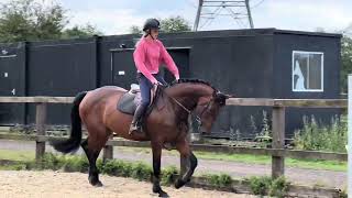 Ava - flatwork