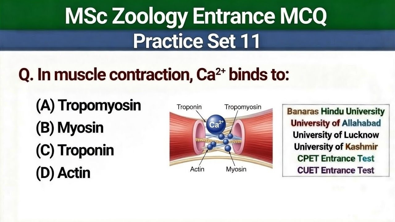 Тесты с множественным выбором для вступительного экзамена на магистратуру по зоологии | Самые важ...