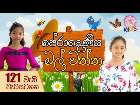 පේරාදෙණිය මල් වත්ත | පුංචි අපේ ශ්‍රද්ධා 121 වන දිගහැරුම | Shraddha kids