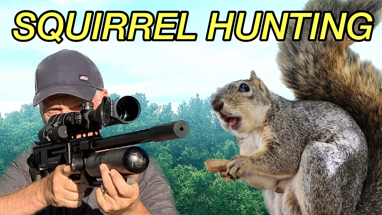 Taking out Squirrels like a sniper with my FX Impact M3 - YouTube