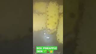 BOIL PINEAPPLE SKIN TO ELIMINATE TOXINS IN BODY.?????