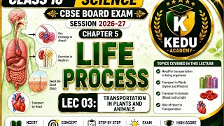 Class 10 Science Chapter 5 | Transportation in Plants and Animals | Life Processes | Lecture 03|