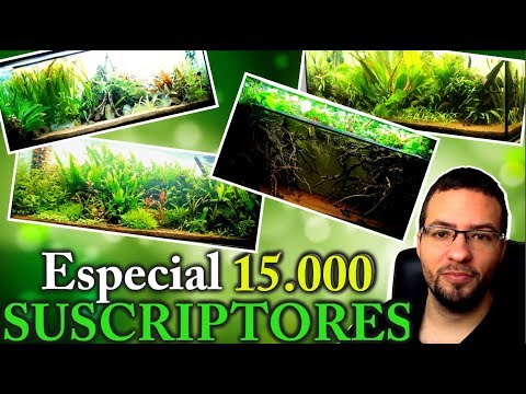 INCREÍBLE EVOLUCIÓN DE MIS ACUARIOS DURANTE MÁS 2 AÑOS || AquaTips