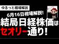【6月16日ゆるっと相場解説】結局日経平均株価はセオリー通りの動きか?どこまで上がるのか?ズボラ株投資