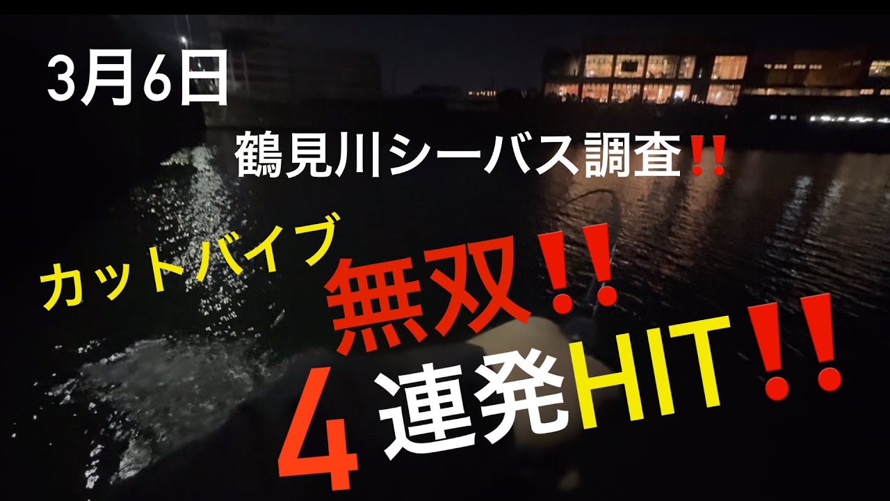 【シーバス】3月6日鶴見川シーバス調査‼️