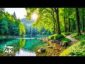 Beautiful Relaxing Music Nature Sounds Reduce Stress Stop Overthinking And Deep Sleep 15 
