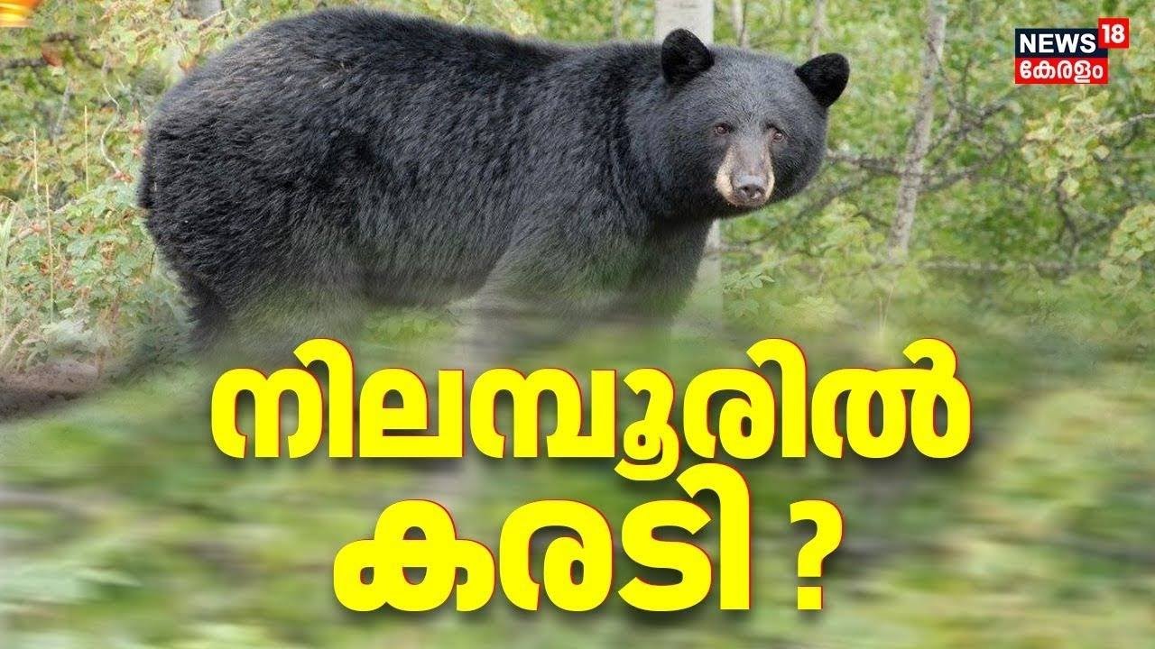 ഇലക്ഷൻ പ്രചരണത്തിനിടെ നിലമ്പൂരിൽ കരടി ?  |  Pookkottumpadam in Nilambur | Bear Causes
