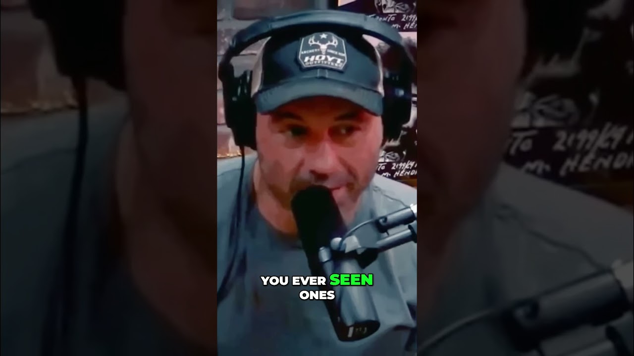 Apollo Moon Landing  Hoax or Real Footage?