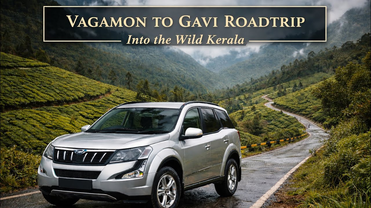 Vagamon to Gavi Check Post Road Trip | Forest Drive 