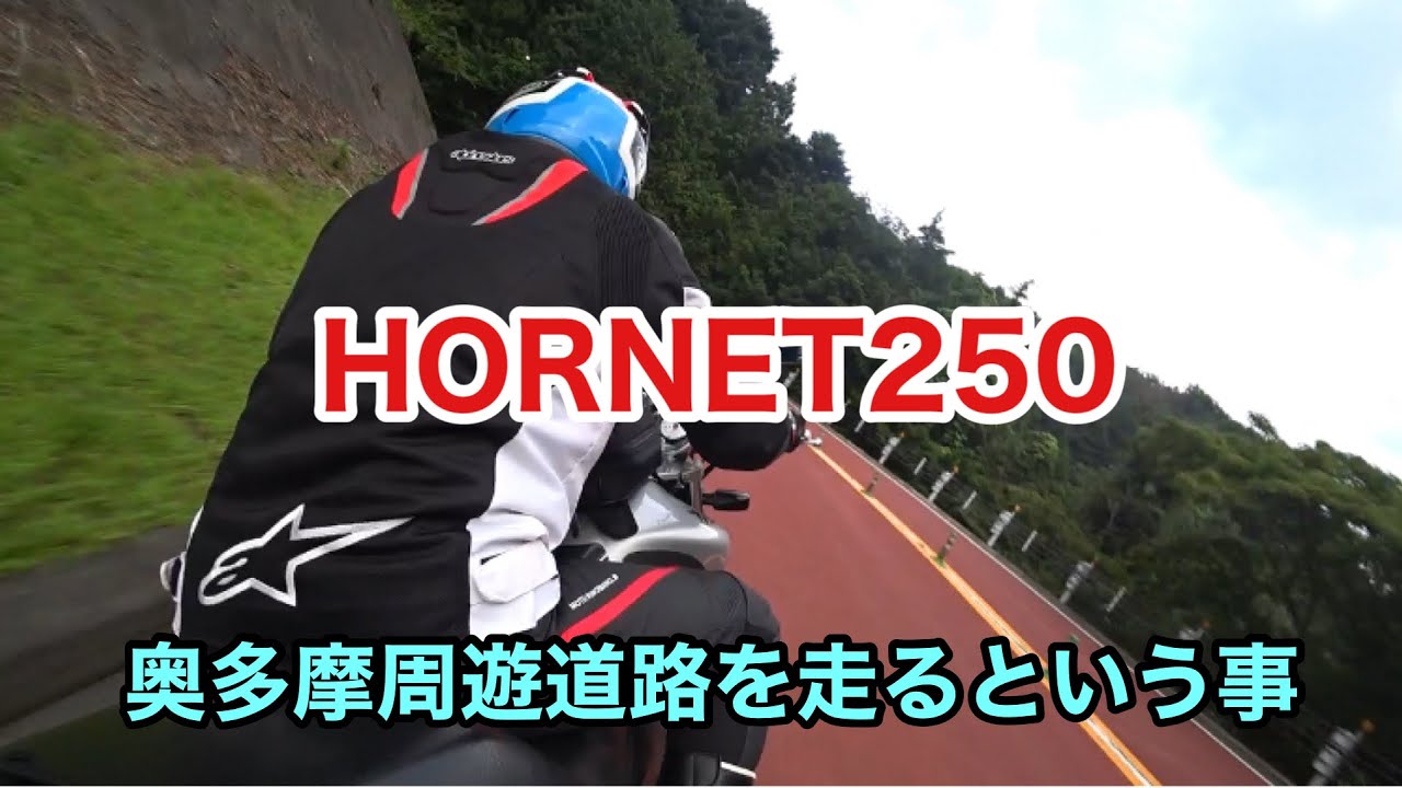 HORNET250 奥多摩周遊道路 自己コントロール内で走る事 バイク ホーネット250