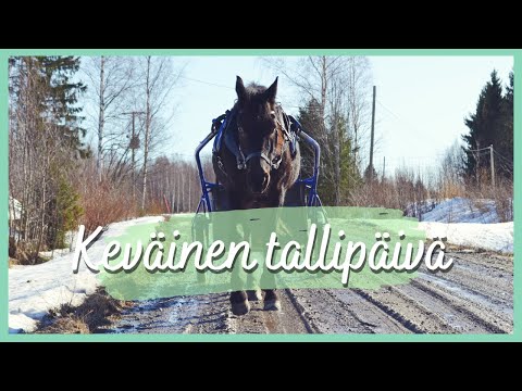 Video: Toimittajan Pakkomielteet: Syksy Kotona