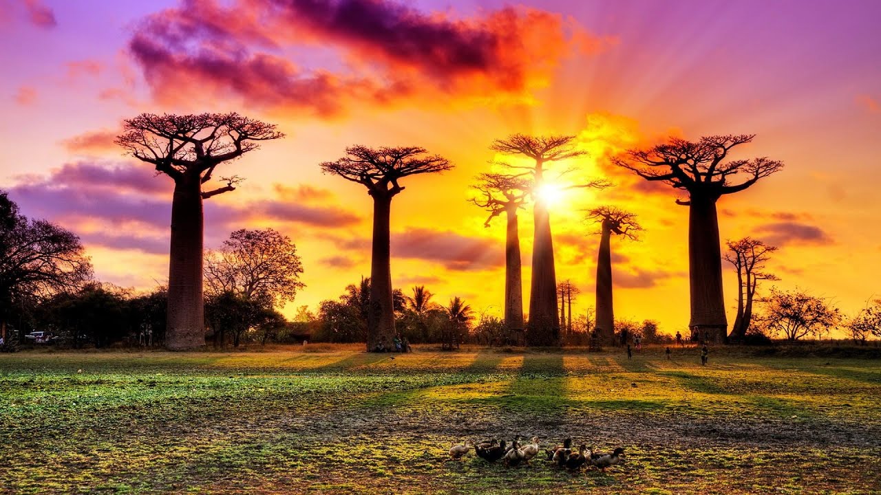 madagascar-4k-travel-youtube