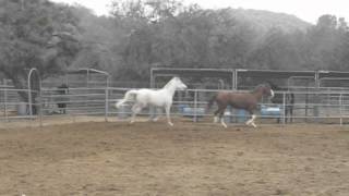 MVI_6855.AVI