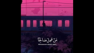 تلاوة هادئة مؤثرة تريح النفس والقلب | حالات واتس اب دينية