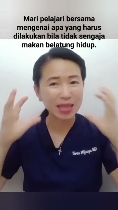 #belatung #entomology #susuberuang #obatkutu #obatcacing https://youtube.com/watch?v=bMFUeOGR_2g
