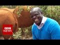 New video by BBC News on YouTube
