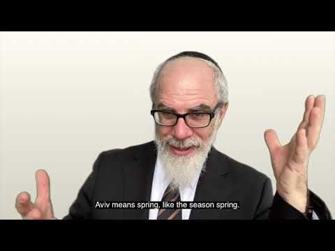 Timing of the Plagues Jewish History in the Torah Vaera