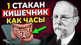 Очищает от всякой дряни. Гениальный советский микробиолог о здоровье кишечника. Леопольд Перетц
