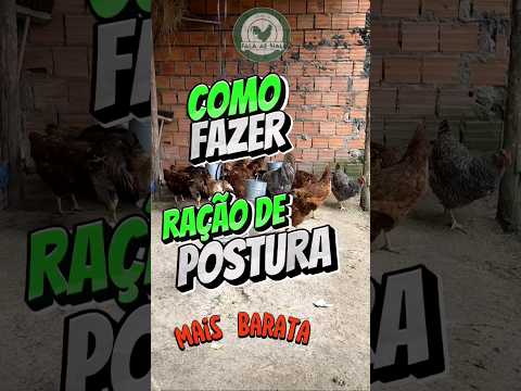 Como Fazer a