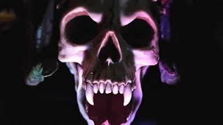The Deceived by E.C. Fisher Book Trailer 2