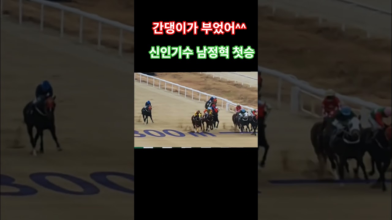 첫승을 천배당으로 #경마 #말 # 달려라말 #부산#shrots #horse