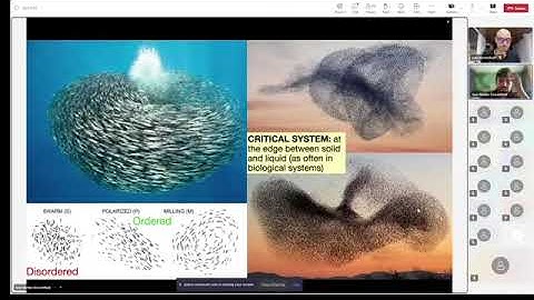 16. L01 More on the applications of high-dimensional statistics and links with statistical physics 2
