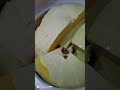 Sliced pumpkins, MercyNguku The Nations Traveller 🇸🇸🇾🇪#worshipsongrewritten