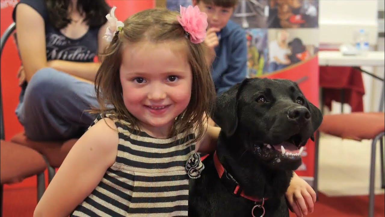 How to calm my dog down Dog Training Puppy and Dog Socialiser