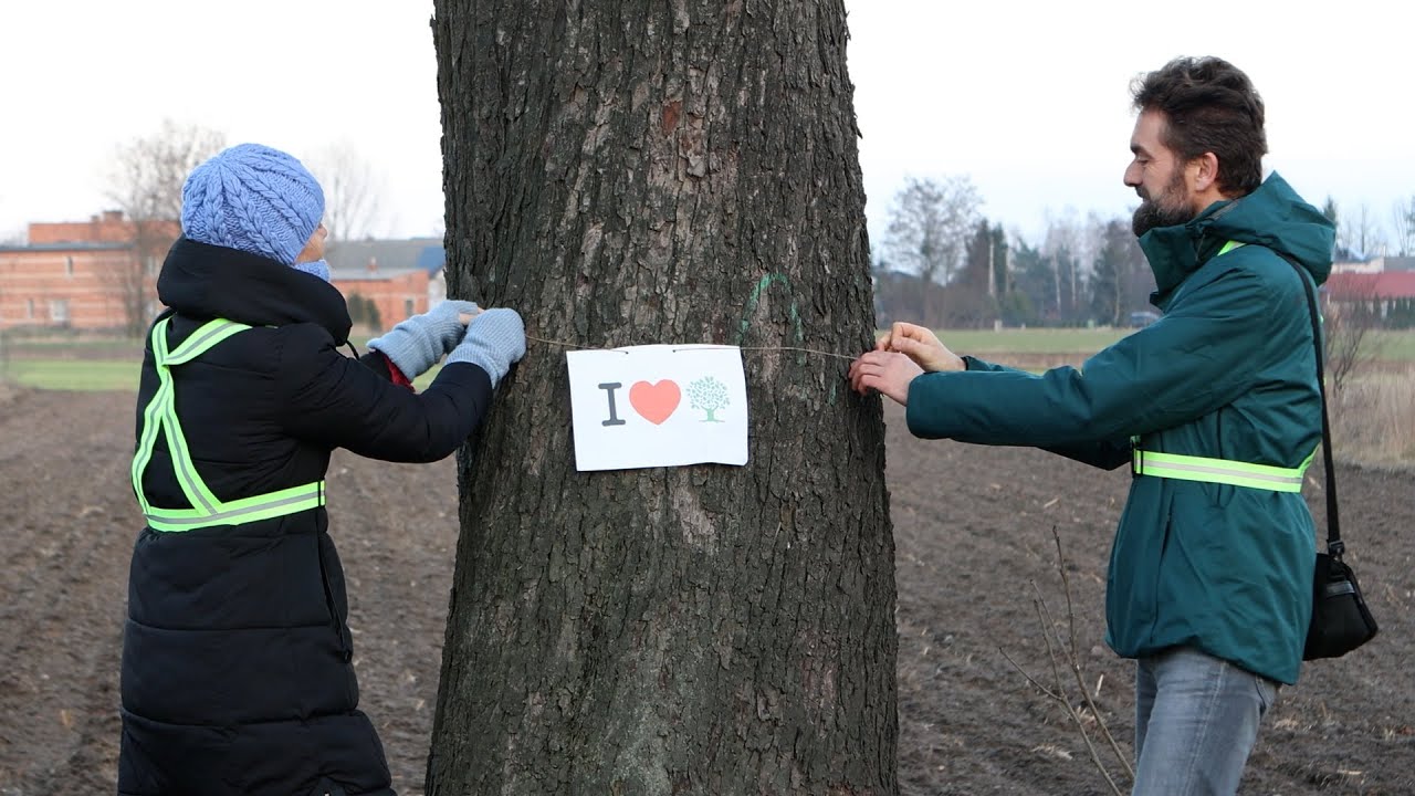 Jaroszyn. Na Walentynki pokochali drzewa. Tuż przed wycinką