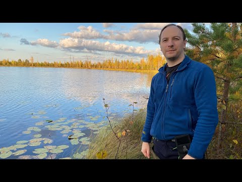 IN THE LAND OF THE DISMANTLED NARROW-GAUGE RAILWAY. Lake Pustoye and Lake Pesochnoye. Autumn hike...