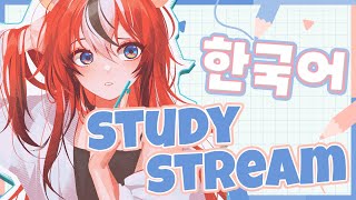 ≪STUDY STREAM≫ 문법과 단어