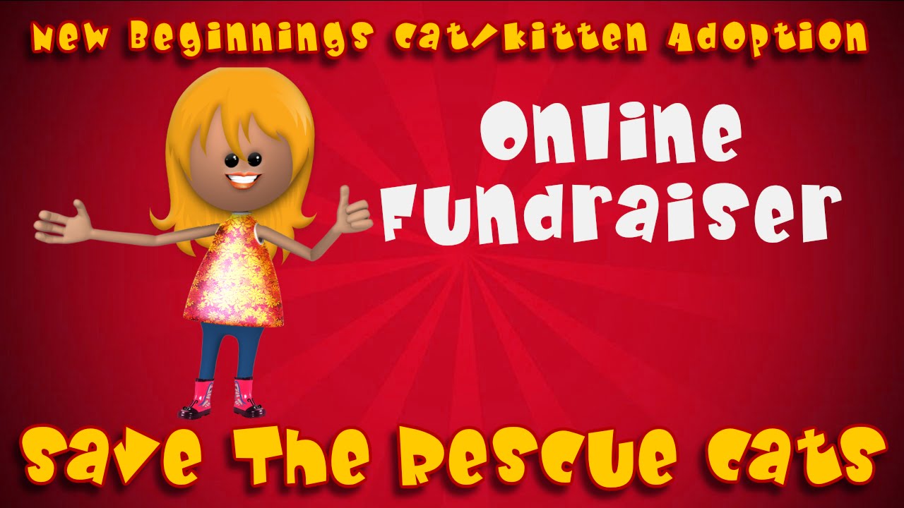 New Beginnings Cat Adoption Online Fundraiser-Save the Rescue Cats-Fundraiser