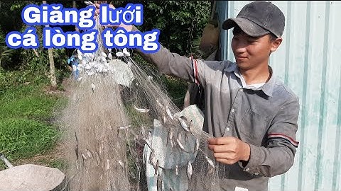Đi Giăng Lưới Cá Lòng Tông Mùa Dịch | 4T Săn Bắt Miền Tây