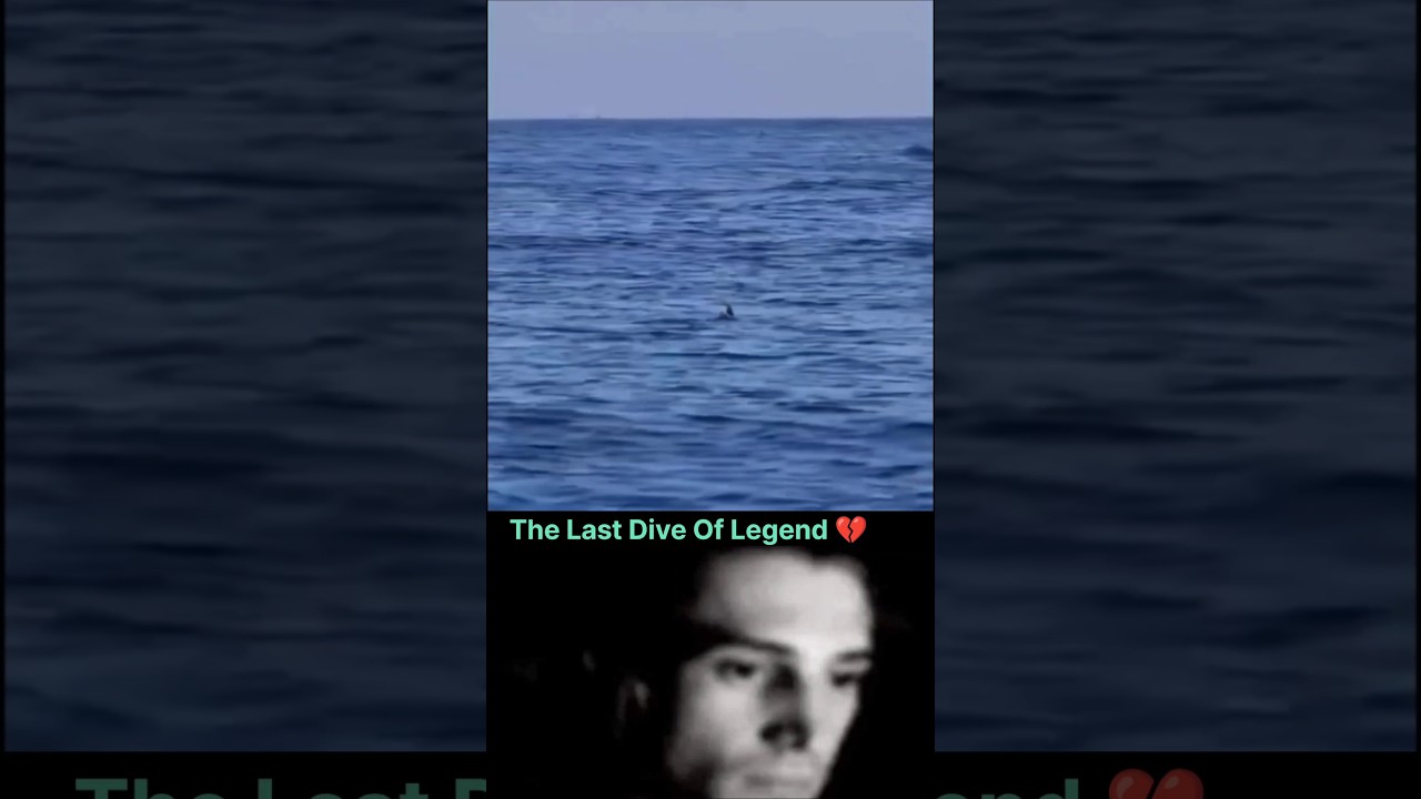 The Most Majestic Whale Breach Ever Caught! 🐋 #shorts #wild #ytshorts #facts #ocean #aesthetic