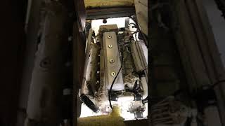 IMG 3868