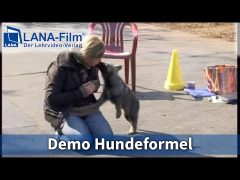 Demo Hundeformel nach Hundeteamschule (Lehrvideo)