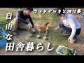 【田舎暮らし】犬と猫と鶏と猛暑の収穫夏祭り/小さな平屋生活【移住101】