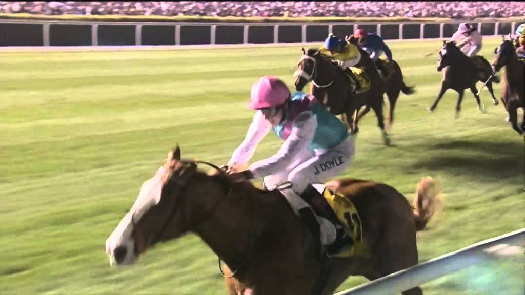 James Doyle Interview