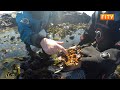 SAERI Falklands Kelp Research Project