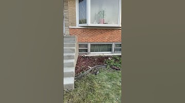 New concrete stairs!!