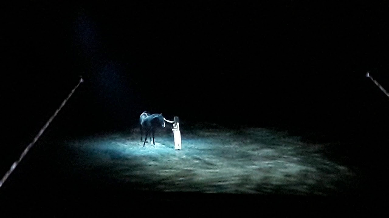 Cavalluna ahoy Rotterdam(1)