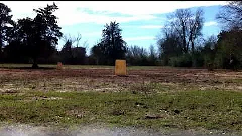Andrea whitesides gelding after two weeks on pattern